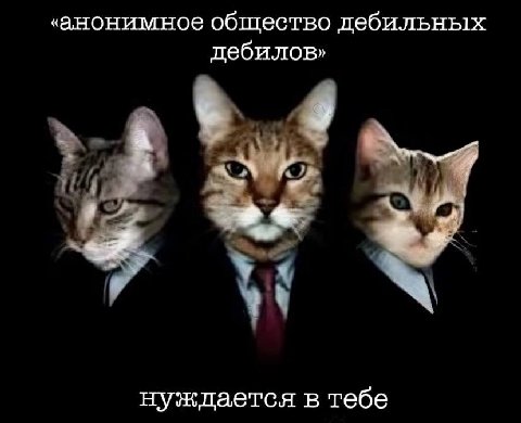 обтество цебильных пебилов» А A у нуждается в тебе