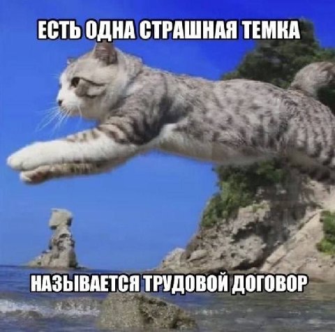 ЕСТЬ ОДНА СТРАШНАЯ ТЕМКА НАЗЫВАЕТСЯ ТРУДОВОЙ ДОГОВОР