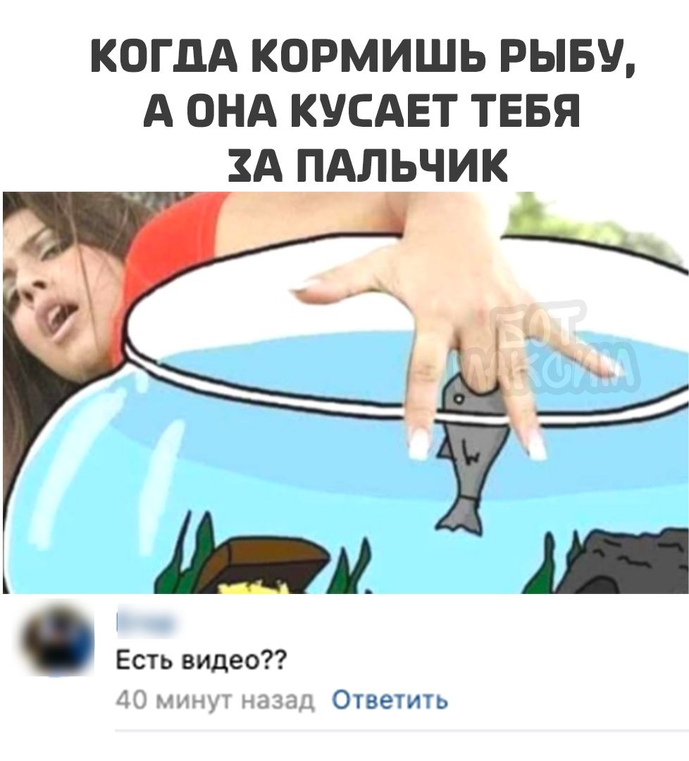 КОГДА КОРМИШЬ РЫБУ, А ОНА КУСАЕТ ТЕБЯ ЗА ПАЛЬЧИК в Есть видео?? 40 минут назад Ответить