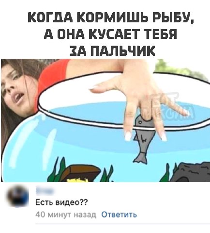 КОГДА КОРМИШЬ РЫБУ, А ОНА КУСАЕТ ТЕБЯ ЗА ПАЛЬЧИК в Есть видео?? 40 минут назад Ответить