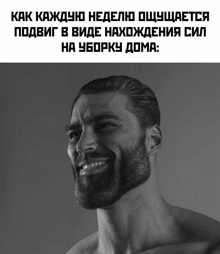 КАК КАЖДУЮ НЕДЕЛЮ ОЩУЩАЕТСЯ ПОДВИГ В ВИДЕ НАХОЖДЕНИЯ СИЛ НА УБОРКУ ДОМА: