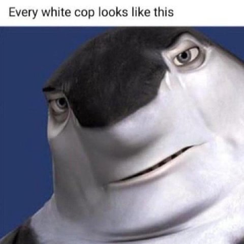 Every white cop looks like this