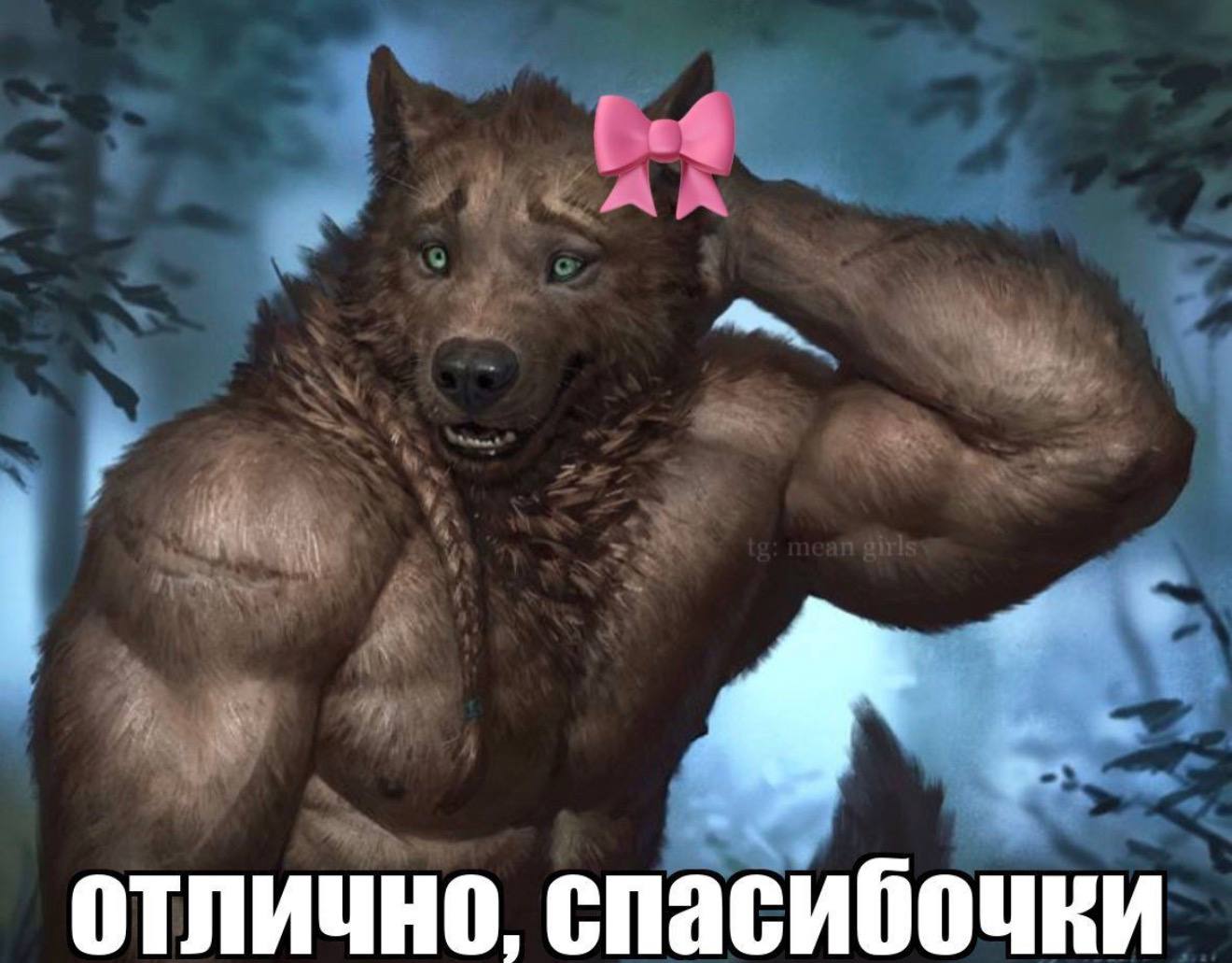 таксист высаживает меня в непонятном месте 

я из-за своей застенчивости: