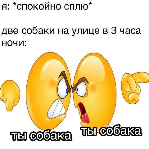 Я: *СПОКОЙНО СПЛЮ* две собаки на улице в 3 часа ночи: у vel собака