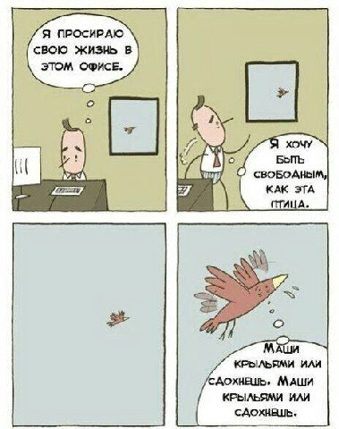 Я ПРОСИРАЮ СВОЮ ЖИЗНЬ В ЭТОМ ОФИСЕ. о ХОЧУ о БЫТЬ КАК ЭТА А. МАШИ КРЫЛЬЯМИ ИЛИ САохнЕшь. МАШИ КРЫЛЬЯМИ ИЛИ