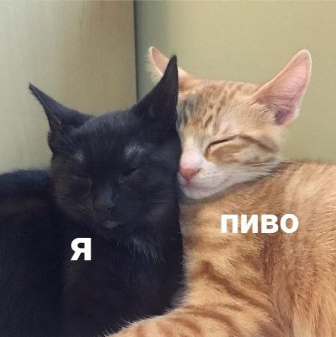 пиво Я