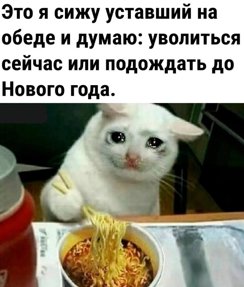 Это я сижу уставший на обеде и думаю: уволиться сейчас или подождать до Нового года.