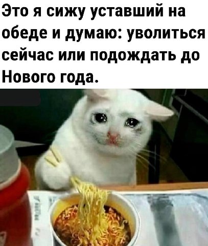 Это я сижу уставший на обеде и думаю: уволиться сейчас или подождать до Нового года.