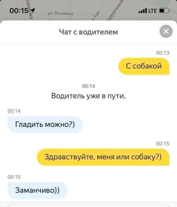 Чат с водителем 00:13 собакой 00:14 Водитель уже в пути. 00:14 Гладить можно?) 00:15 Здравствуйте, меня или собаку?) 00:15 Заманчиво))