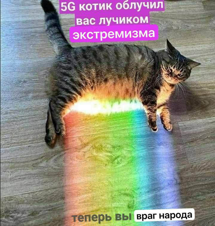 котик облучил лучиком экстремизма народа