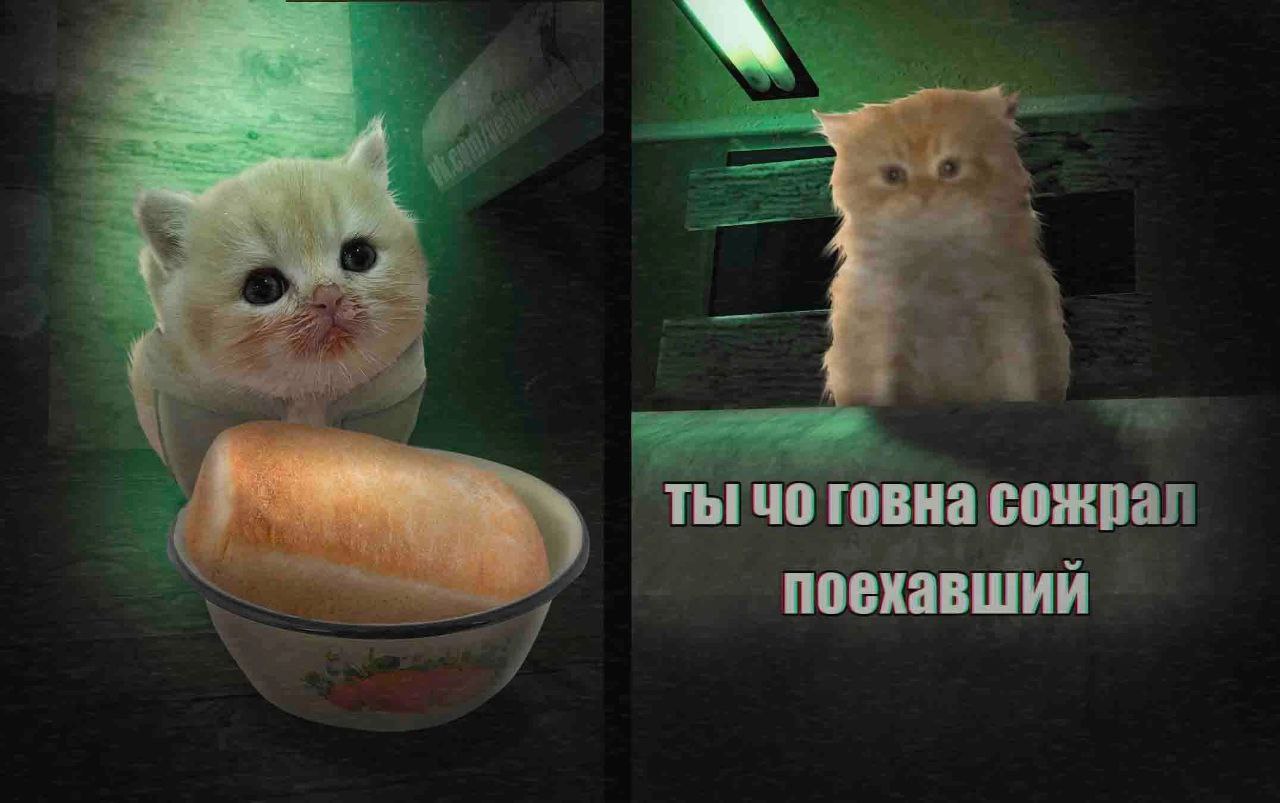 ТЫ! 40 ГОВНа поехавший