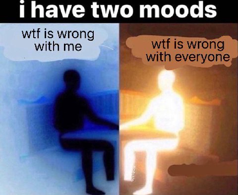 1 Пауе two moods wtf is wrong with me is wrong with