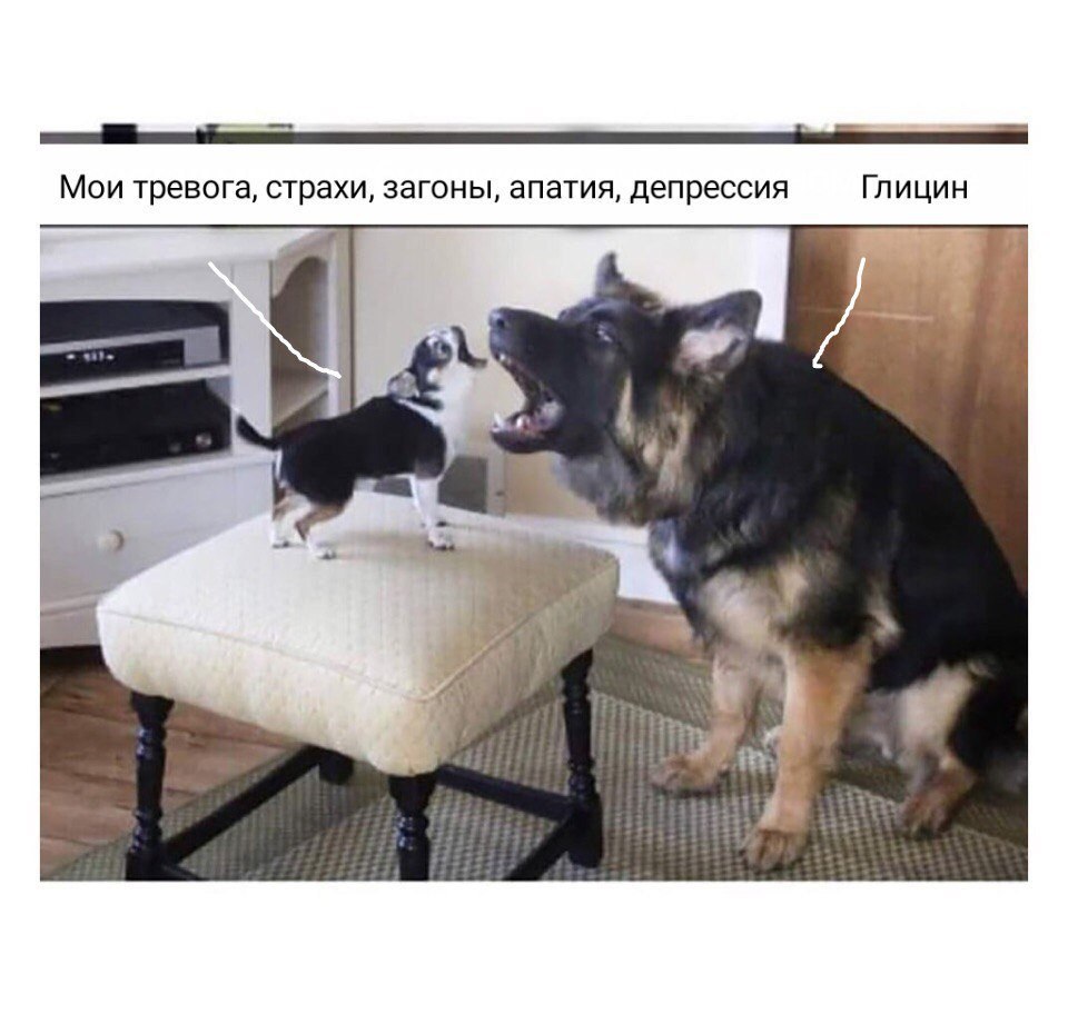 Мои тревога, страхи, загоны, апатия, депрессия Глицин