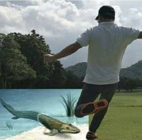 my