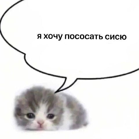 я хочу пососать сисю