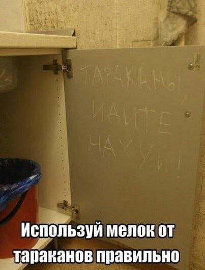 Используй мелок от тараканов правильно