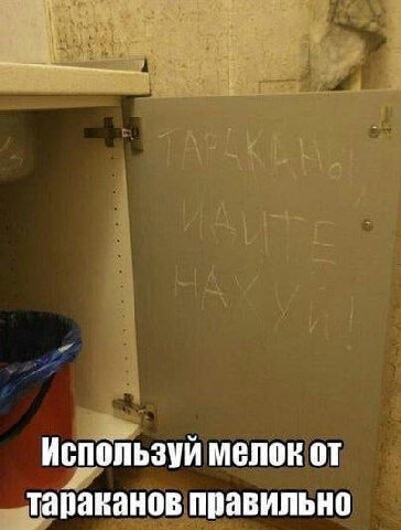 Используй мелок от тараканов правильно