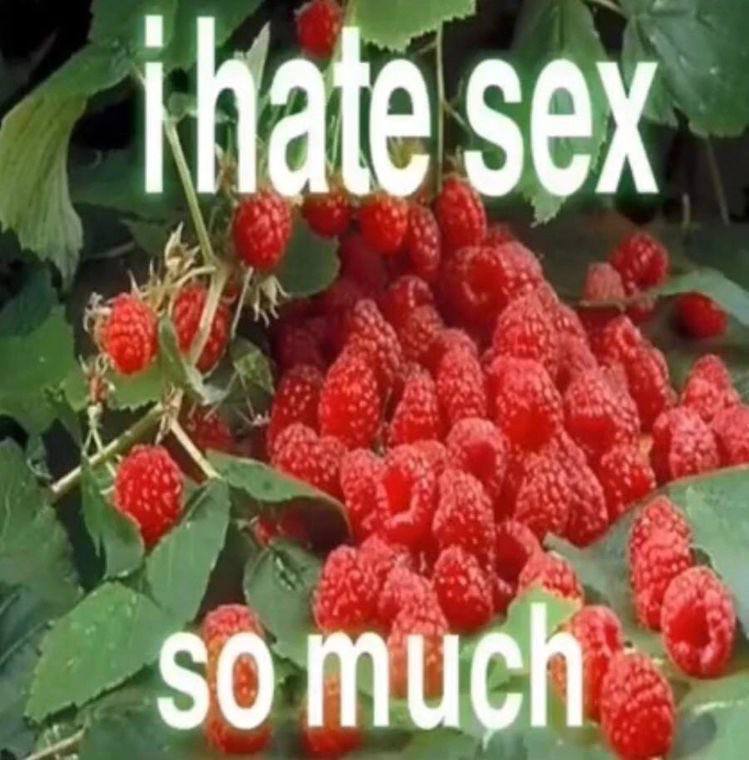 sex somuch