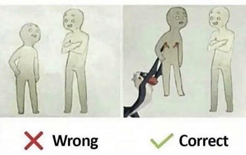 Wrong Correct