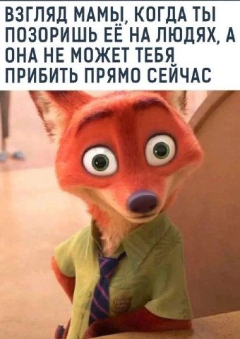 ВЗГЛЯД МАМЫ, КОГДА ТЫ ПОЗОРИШЬ НА ЛЮДЯХ, A ОНА НЕ МОЖЕТ ТЕБЯ. ПРИБИТЬ ПРЯМО СЕИЧАС