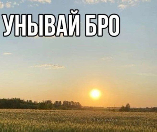 YHbIBAM BPO