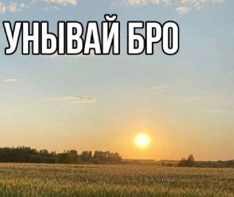 YHbIBAM BPO