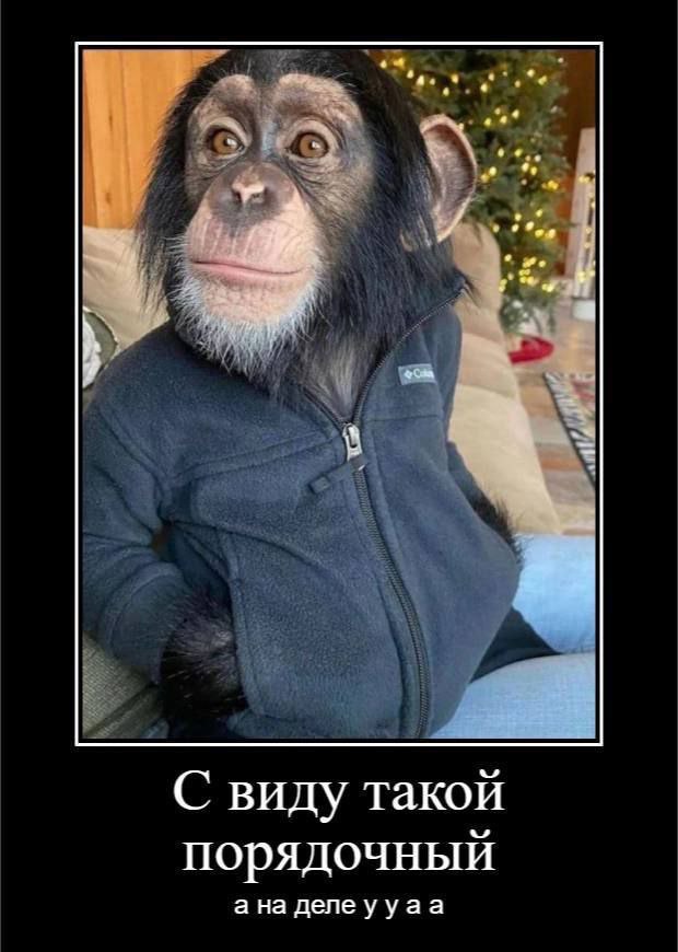 С виду такой порядочный а на делеууаа