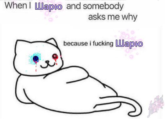 When Шарю and somebody asks me why because i fucking Шарю