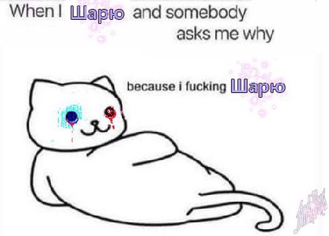 When Шарю and somebody asks me why because i fucking Шарю