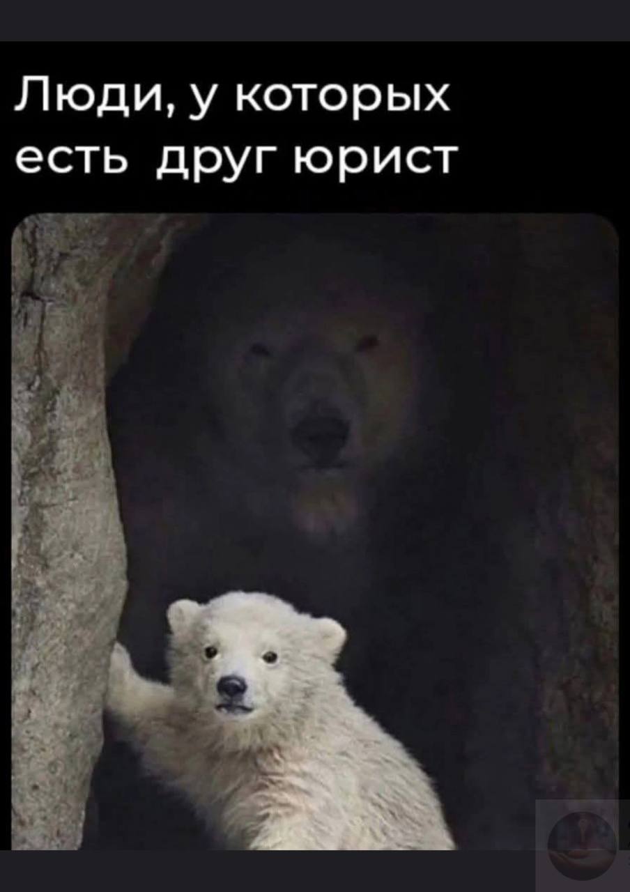 Люди, у которых есть друг юрист