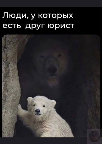 Люди, у которых есть друг юрист
