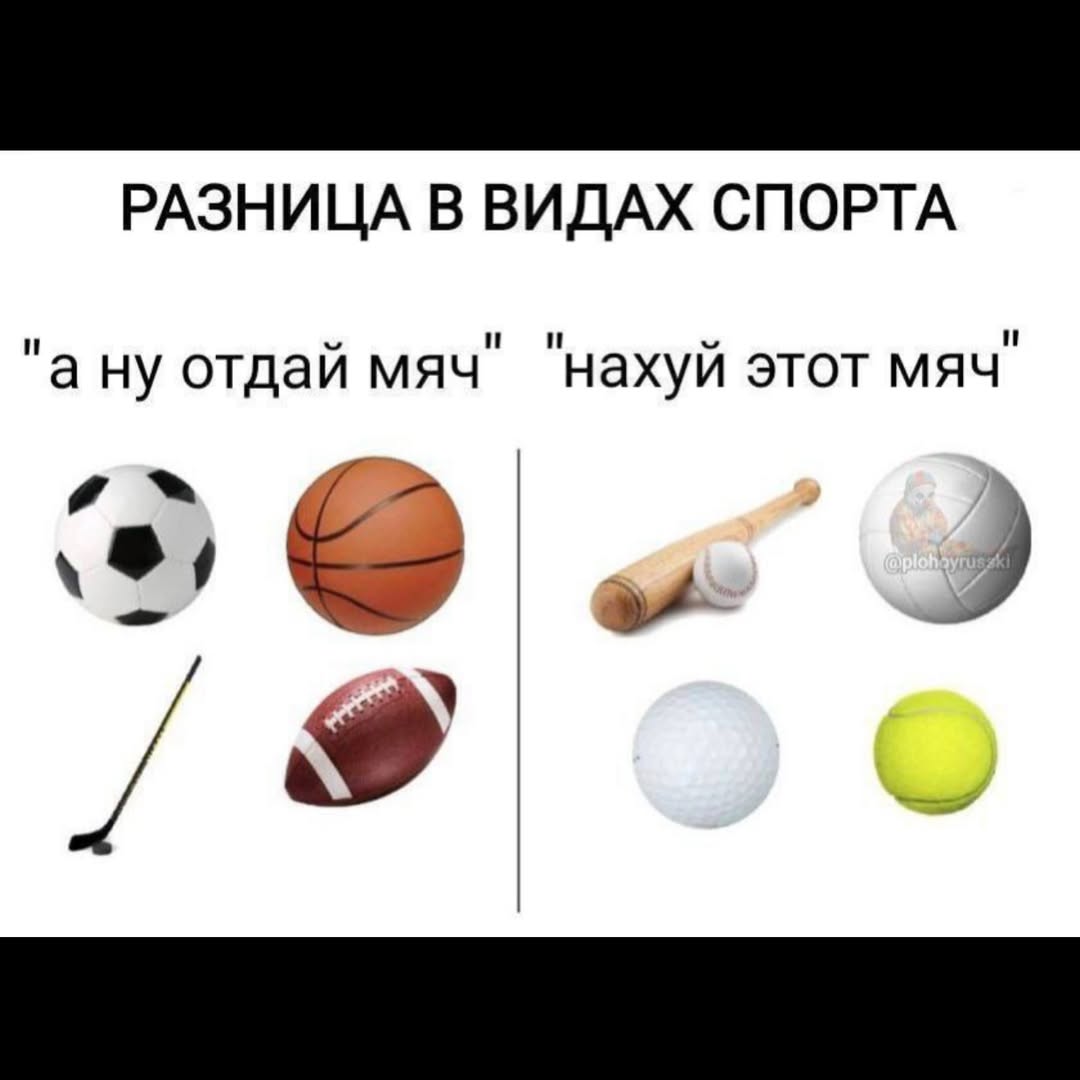 РАЗНИЦА В ВИДАХ СПОРТА "а ну отдай мяч" "нахуй этот мяч"