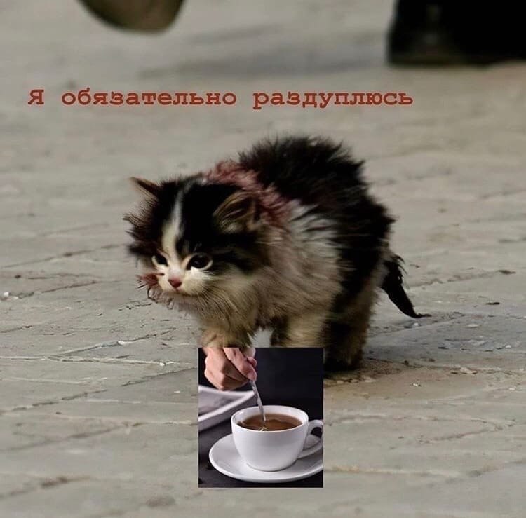 Я обязательно раздуплюсь и