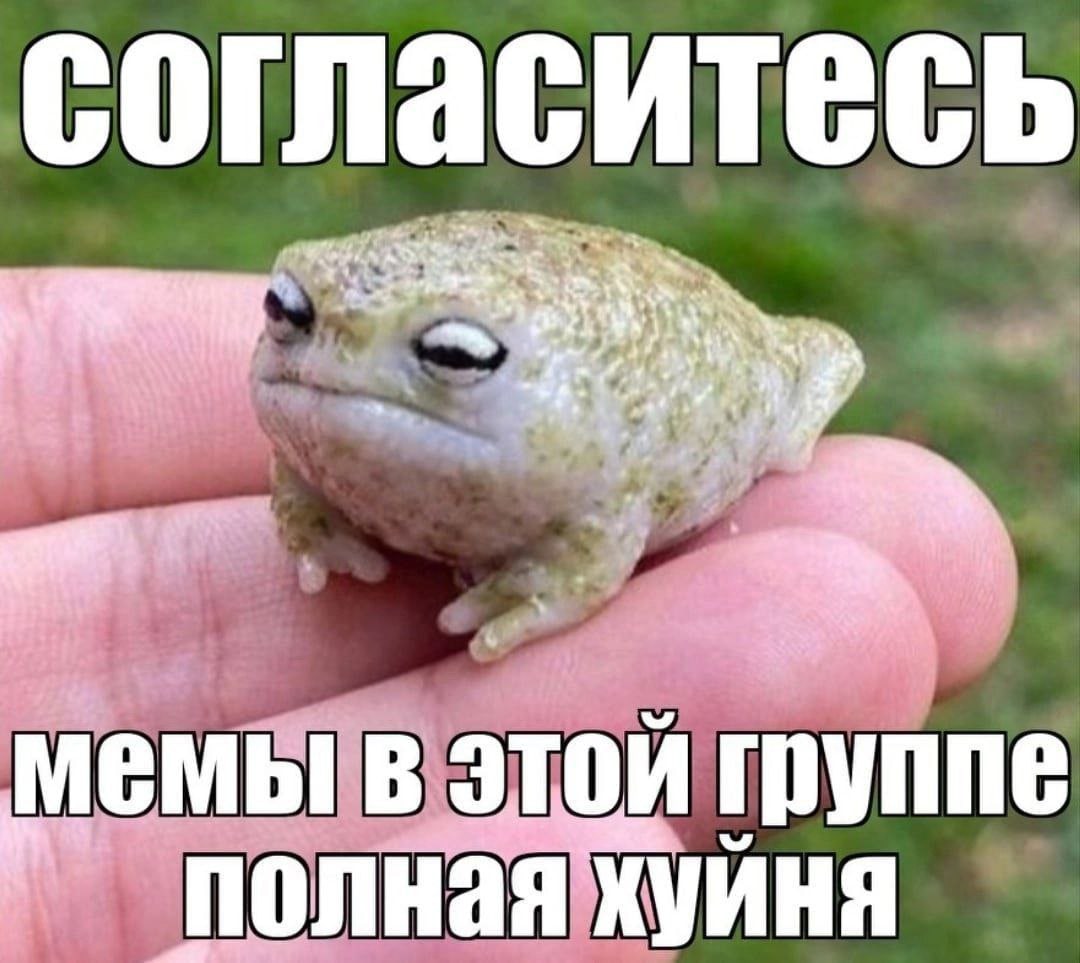 согласитесь емы этой ‘полная хуйня
