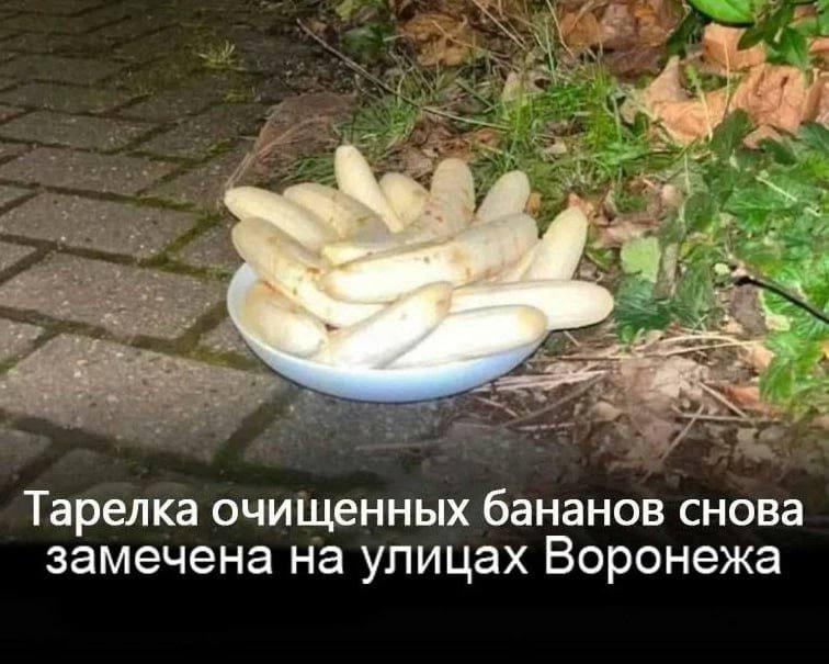 Тарелка очищенных бананов снова замечена на улицах Воронежа