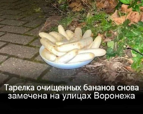 Тарелка очищенных бананов снова замечена на улицах Воронежа