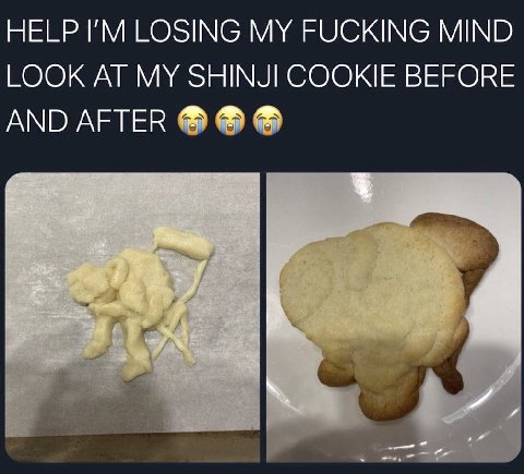 HELP LOSING MY FUCKING MIND LOOK AT MY SHINJI COOKIE BEFORE AND AFTER