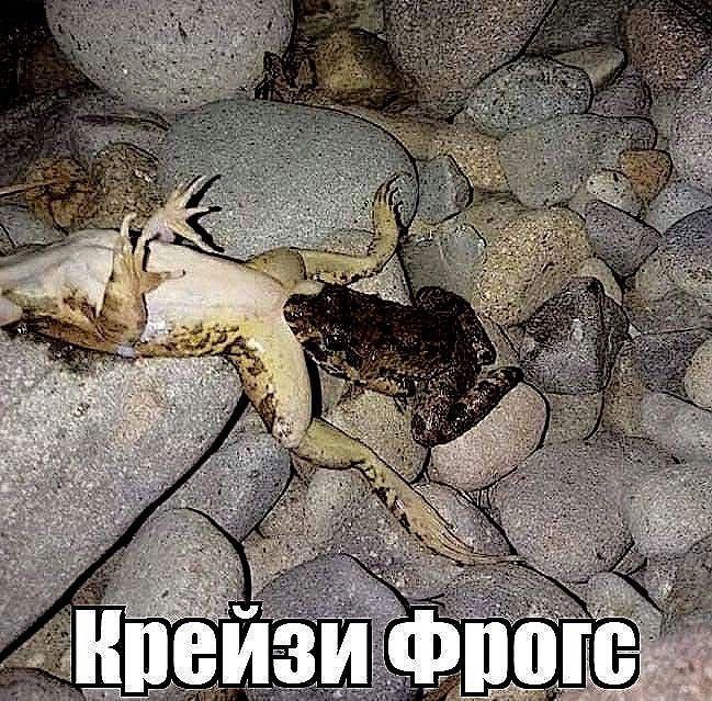 a as a у. cry 4 И
