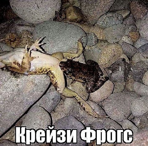 a as a у. cry 4 И
