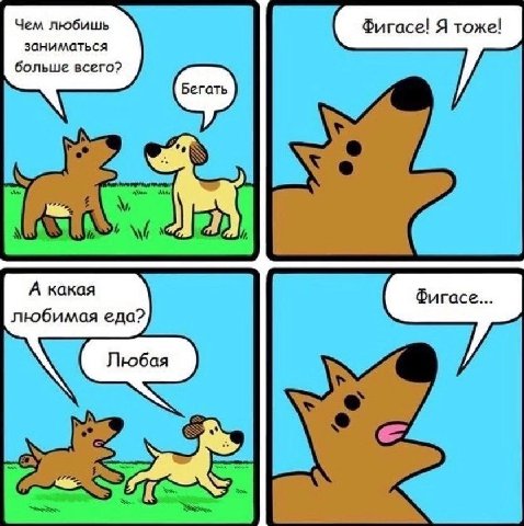 Чем любишь Фигасе! Я тоже! заниматься больше всего? Бегать А какая Фигасе... любимая еда? Любая