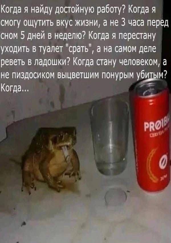Когда я найду достойную работу? Когда я смогу ощутить вкус жизни, а не 3 часа перед сном 5 дней в неделю? Когда я перестану уходить в туалет "срать", а на самом деле реветь в ладошки? Когда стану чело