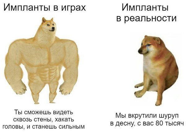 Импланты в играх Импланты в реальности Ты сможешь видеть сквозь стены, хакать Мы вкрутили шуруп головы, и станешь сильным в десну, с вас 80 тысяч