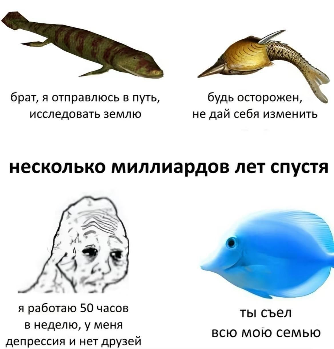 брат, я отправлюсь в путь, будь осторожен, исследовать землю не дай себя изменить несколько миллиардов лет спустя 4 249 я работаю 50 часов ты съел в неделю, у меня всю мою семью депрессия и нет друзей