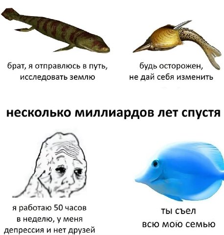 брат, я отправлюсь в путь, будь осторожен, исследовать землю не дай себя изменить несколько миллиардов лет спустя 4 249 я работаю 50 часов ты съел в неделю, у меня всю мою семью депрессия и нет друзей