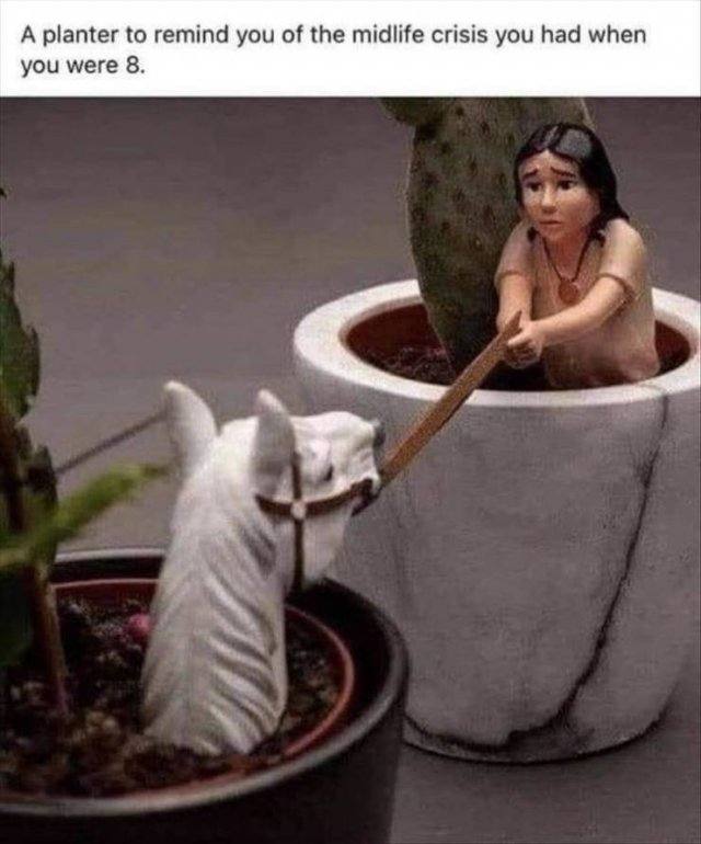 А planter to remind you of the midlife crisis you had when you were 8.