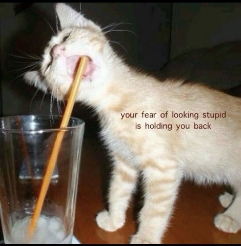 your fear of looking stupid is holding you back