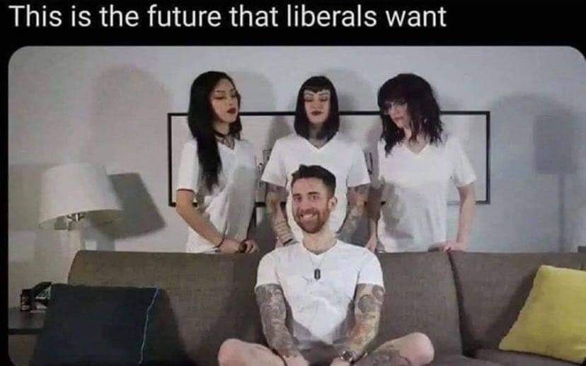 This is the future that liberals want
