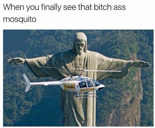 When you finally see that bitch ass mosquito