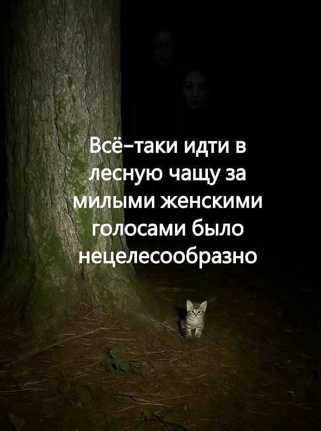 Всё-таки идти в лесную чащу за милыми женскими голосами было нецелесообразно