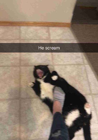 Не scream